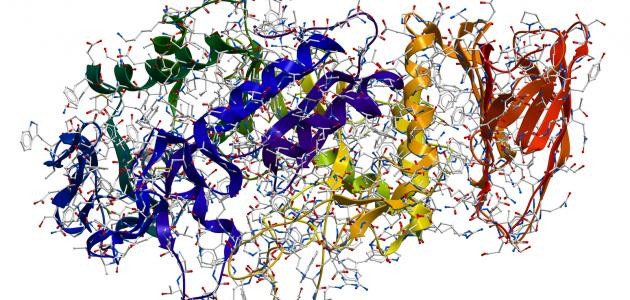 تعريف انزيم الاميليز
