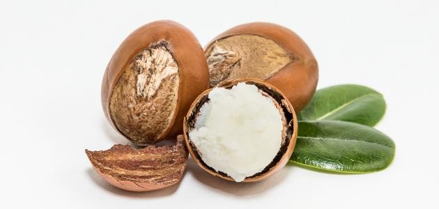 فوائد زبدة الشيا