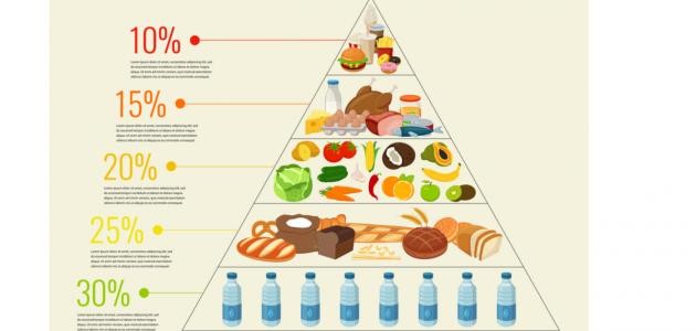 ما هو رجيم الهرم الغذائي