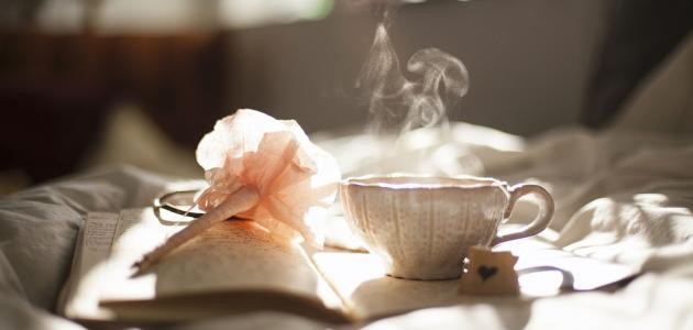 عبارات صباحية