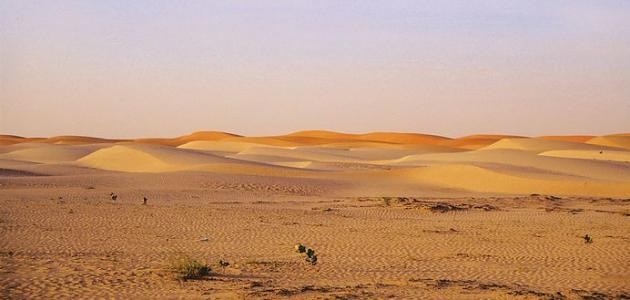 كيف يحدث التصحر