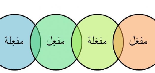 ما هو مصدر الفعل ما هو مصدر الفعل