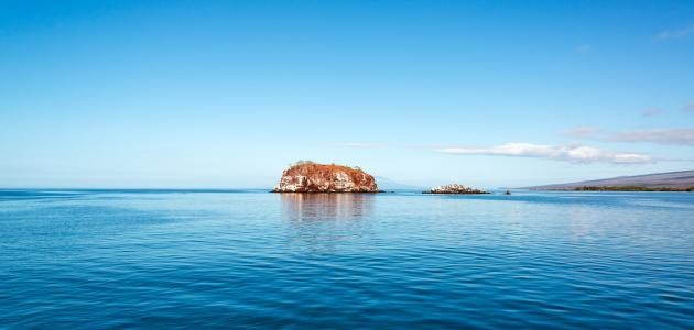 ما هو لسان البحر